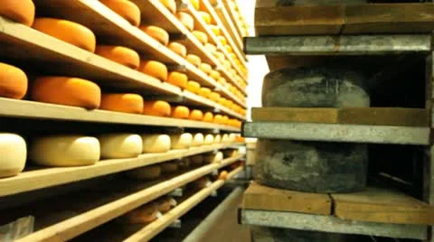 Blue cheese gouda Factory food process parmesan swiss dairy feta france milk Stock Footage