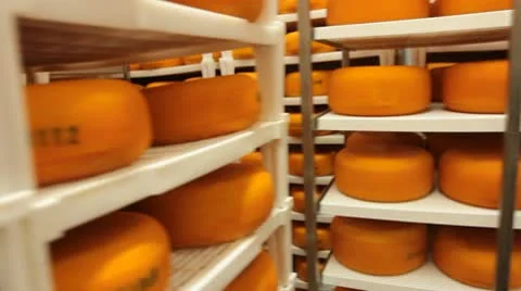 Blue cheese gouda Factory food process parmesan swiss dairy feta france milk Stock Footage