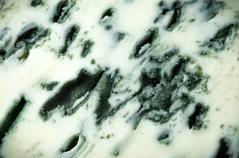 Blue cheese macro 库存照片