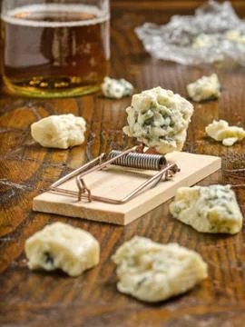 Blue cheese with mouse trap Stock Photos