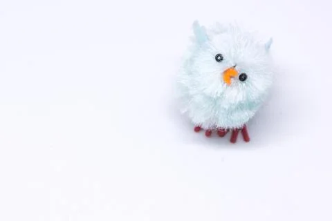 Blue chick looking up on a white background, isolated Stock Photos