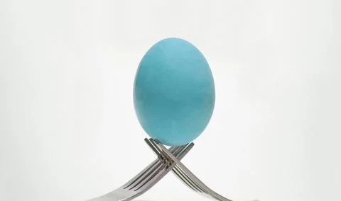 A blue chicken egg is placed on the tip of a cutlery on a white background. Stock Photos