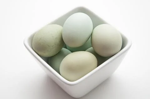 Blue chicken eggs Stock Photos