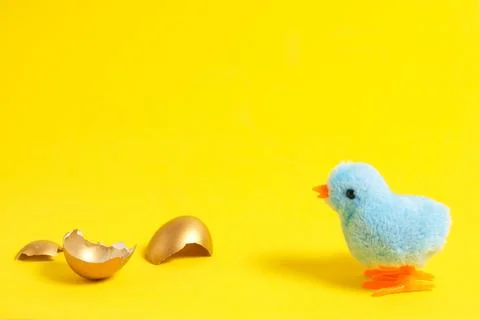 Blue chicken on a yellow background with a broken golden shell. Фото
