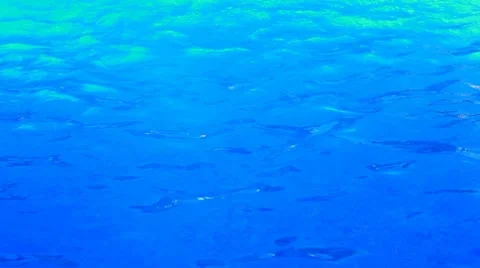Blue clear water Video stock 7728473