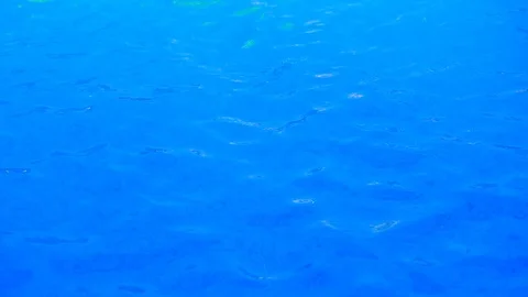 Blue clear water with small waves - ecological idyll Vídeos de archivo 92210723