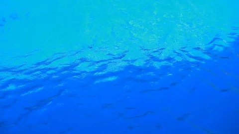 Blue clear water with small waves - ecological idyll Stock Footage 92210726