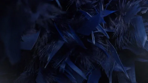 A blue cloud of feathers. macro close-up. Selective focus, blurred focus Stock Footage 95288537