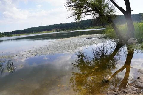Blue cloud, lake view, tree in the lake, lake and mountain view Stock Photos