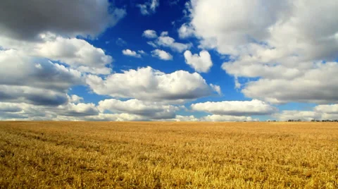 Blue cloudly sky above the field (ntsc) Stock Footage 31142860