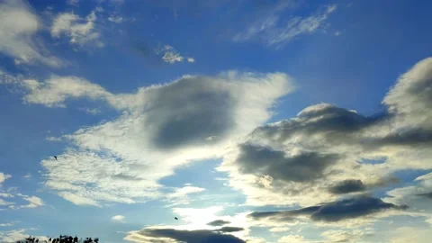 Blue clouds in the clear sky Stock Footage 217669267