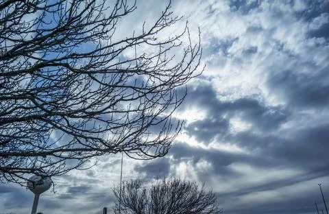 Blue clouds with dead trees and drama Stock Photos