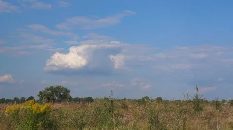 Blue clouds over the field. Timelapse Stock Footage 41717640