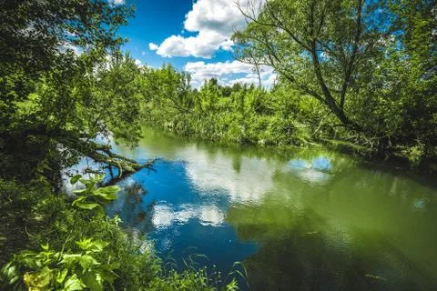 Blue cloudy sky and silent river with reeds and trees along the shore Stock Photos
