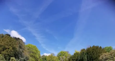 Blue cloudy sky background with dissolving plane trails and trees below Stock Photos