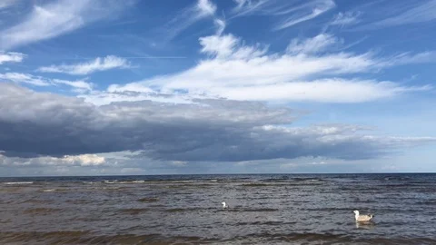 Blue cloudy sky. Sea view with birds. Many gulls are swing on waves. Stock Footage 104201536