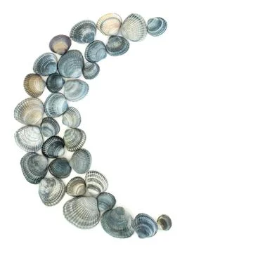 Blue Cockle Shell Half Moon Circle Shape Symbol Decoration Stock Photos