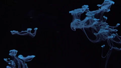 Blue color bubble on back background 스톡 동영상 76930331