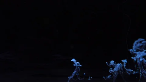 Blue color bubble on black background Video stock 76906473