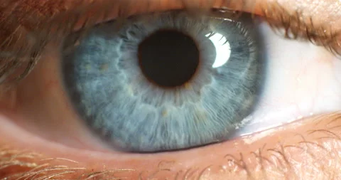 Blue color eyes and focus, vision and co... | Stock Video | Pond5