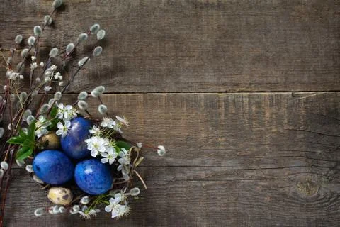 Blue colored easter eggs in a nest with willow branches and spring flowers. Stock Photos