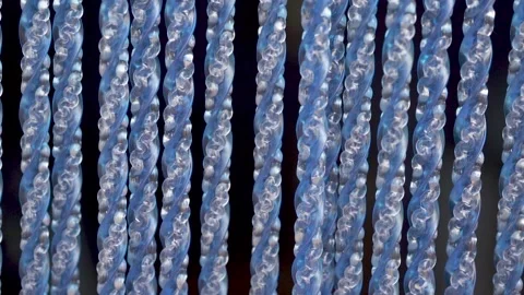 Blue colored fly mosquito net curtain detail. Stock Footage 231553246