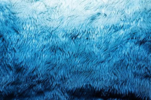 Blue colored fur texture backdrop photo. Stock-Fotos