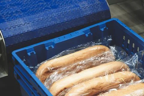 A blue container with plastic wrap on it has several loaves of bread inside.  Foto stock