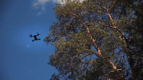 Blue copter examines a tree Stock Footage 97410639