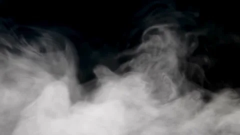 Blue coral polyps move gently in the underwater current Video stock 332275815