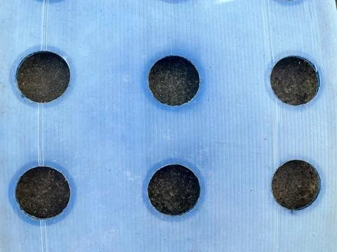 Blue Corrugated Plastic Mulch Sheet with Planting Holes on Soil Grid Layout Stock-Fotos