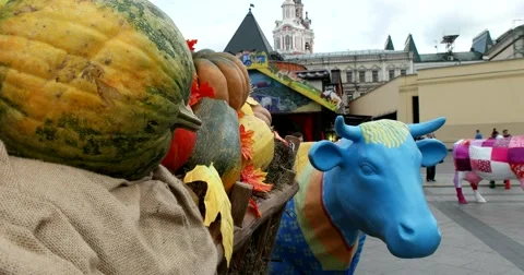 Blue cow Stock Footage 68054606