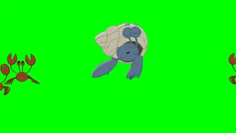 A blue crab that comes out of its nest and looks around, then a group of red Stock Footage 285959939