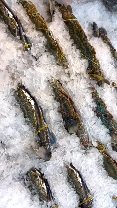 Blue crab 库存影片 338149314