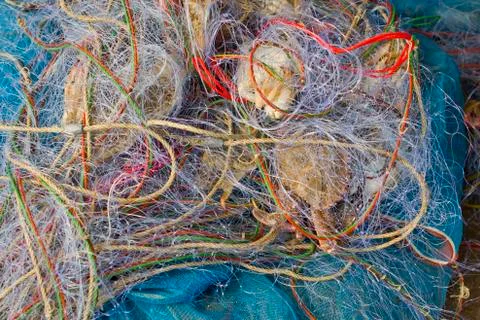 Blue crabs in fishnet Stock Photos