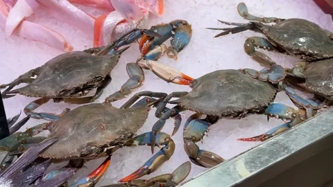 Blue Crabs on Ice with Pink Fish in Seafood Market Stock Footage 332556441