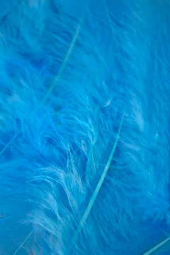 Blue craft feathers background Stock Photos