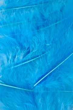 Blue craft feathers background Foto stock