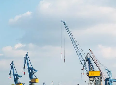 Blue cranes Foto stock
