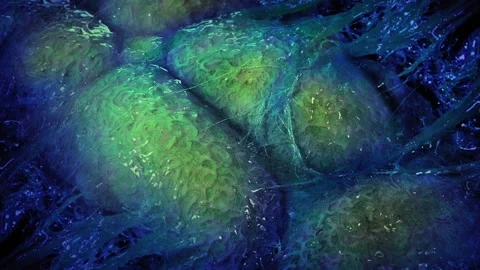 Blue Creature Opens Up Showing Slimy Insides 스톡 동영상 194369834