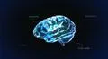 blue crystal brain code Illustration