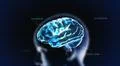 blue crystal brain with head and code Illustration