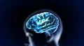 blue crystal brain with head Illustration