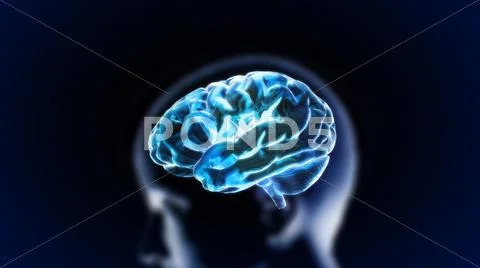 Blue crystal brain with head Stock Illustration