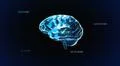 blue crystal brain timecode Illustration