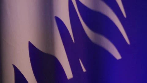 Blue curtain with leaf shadows, soft neon indigo light, closeup fabric texture,  Stock Footage 334551134