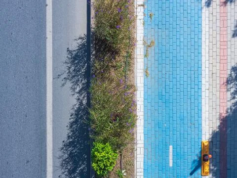 A blue cycle path separated from the road by a strip of bushes Stock Photos