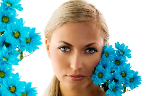 The blue daisy Stock Photos