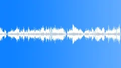 Blue Danube Waltz, Op 314 Stock Music