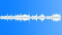 Blue Danube Waltz, Op 314 Stock Music